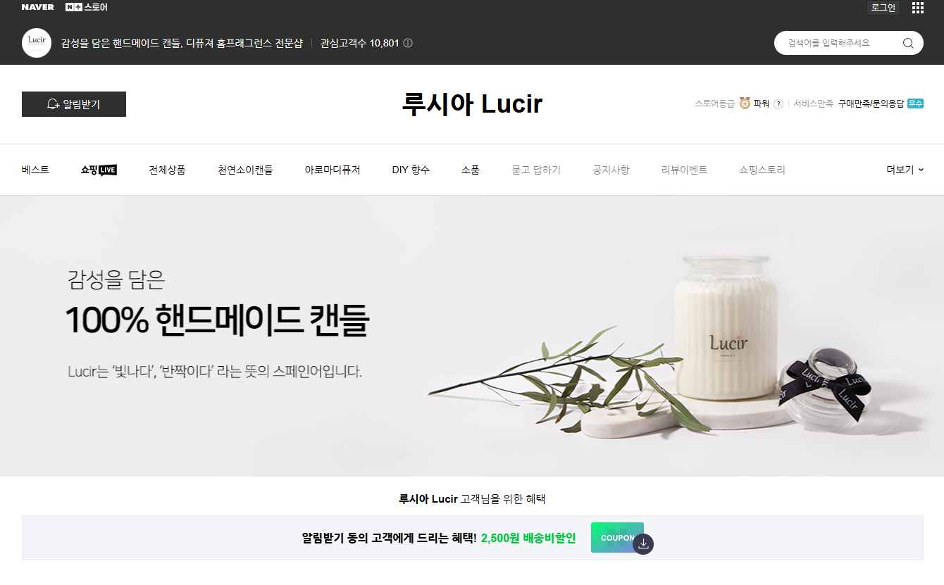 루시아 캔들 포트폴리오