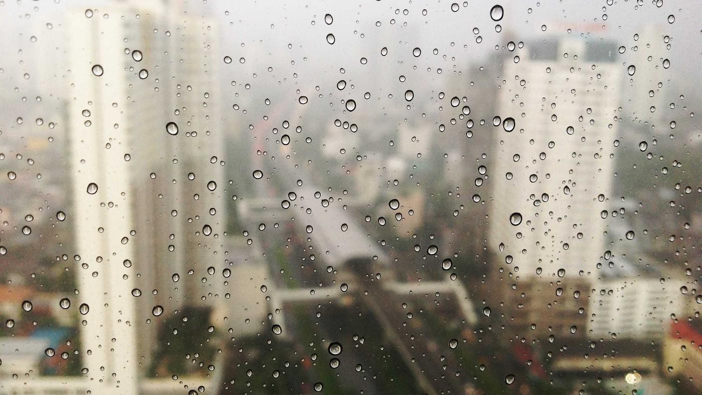 기업 화면